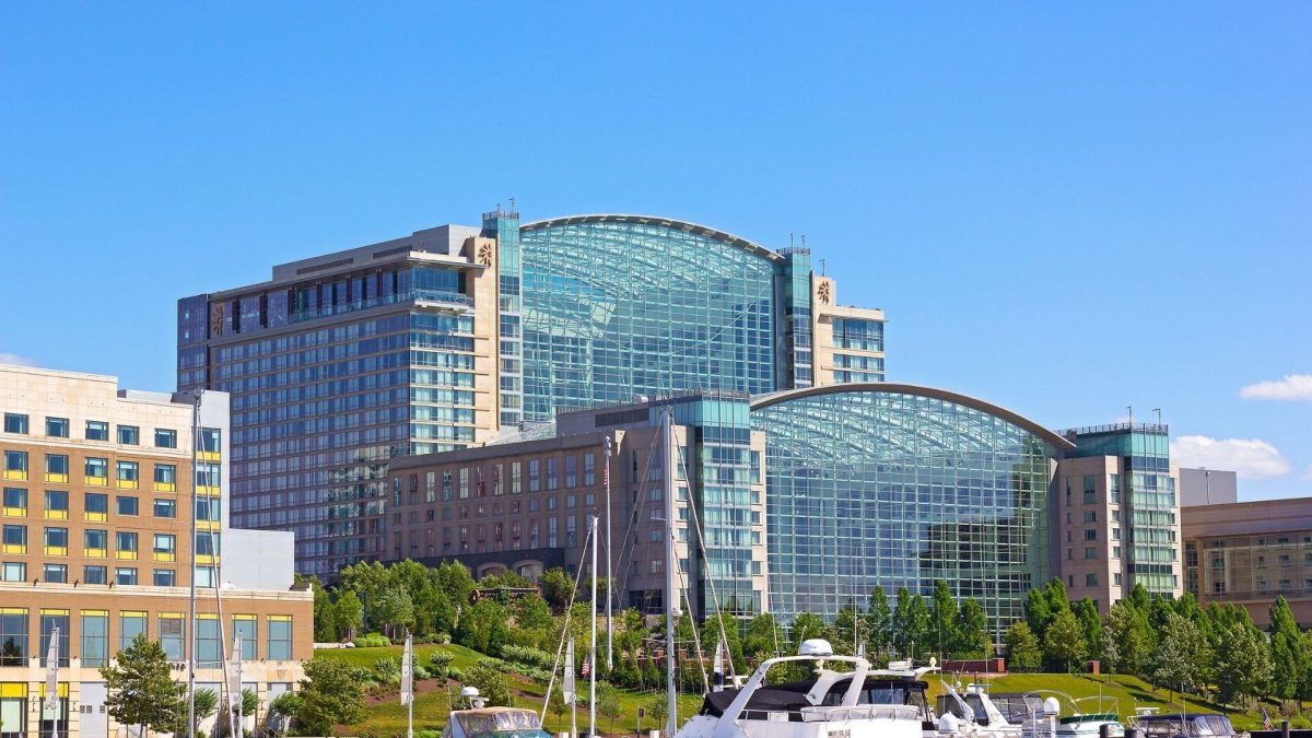 Vascular Treatment National Harbor National Vascular Physicians Vascular Treatment National Harbor National Vascular Physicians