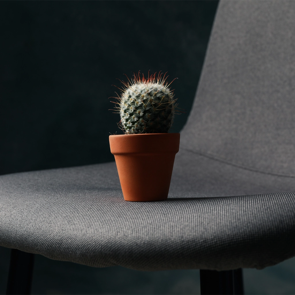 cactus-on-chair-hemorrhoids-1216425036