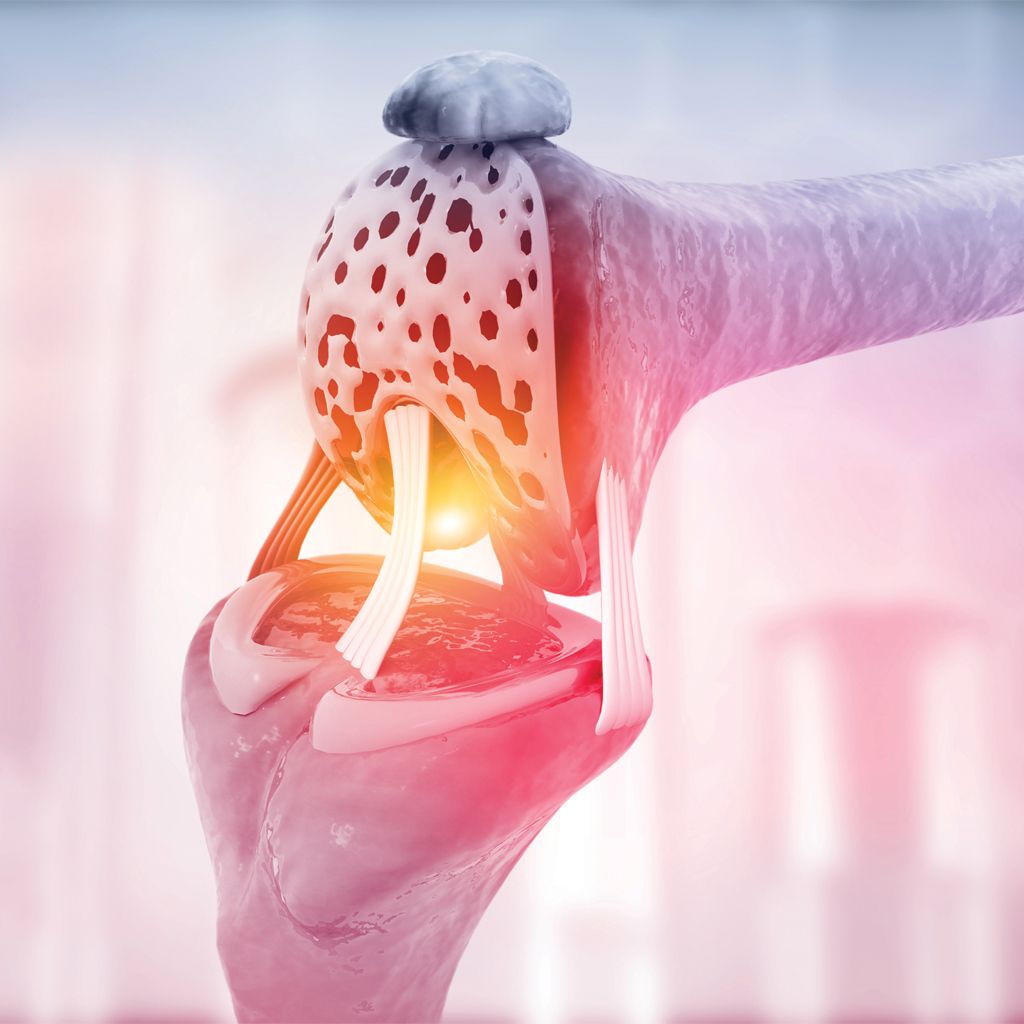 3D-Anatomy-of-knee-joint-1201820311-web-1