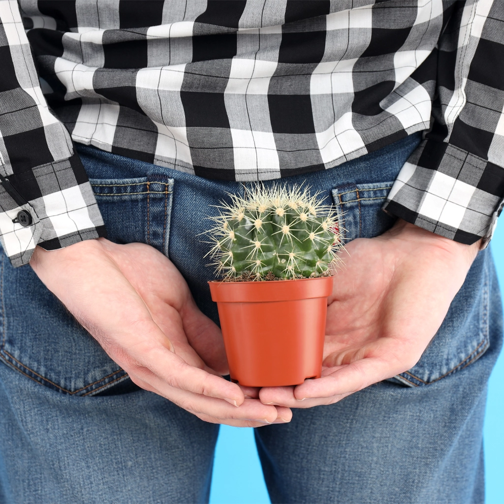 man-holding-cactus-hemorrhoid-1495358088 man-holding-cactus-hemorrhoid-1495358088